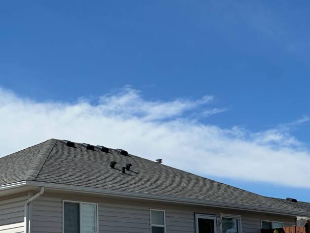 Best Metal Roofing Installation  in Great Neck, NY